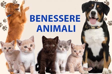 corsi benessere animali